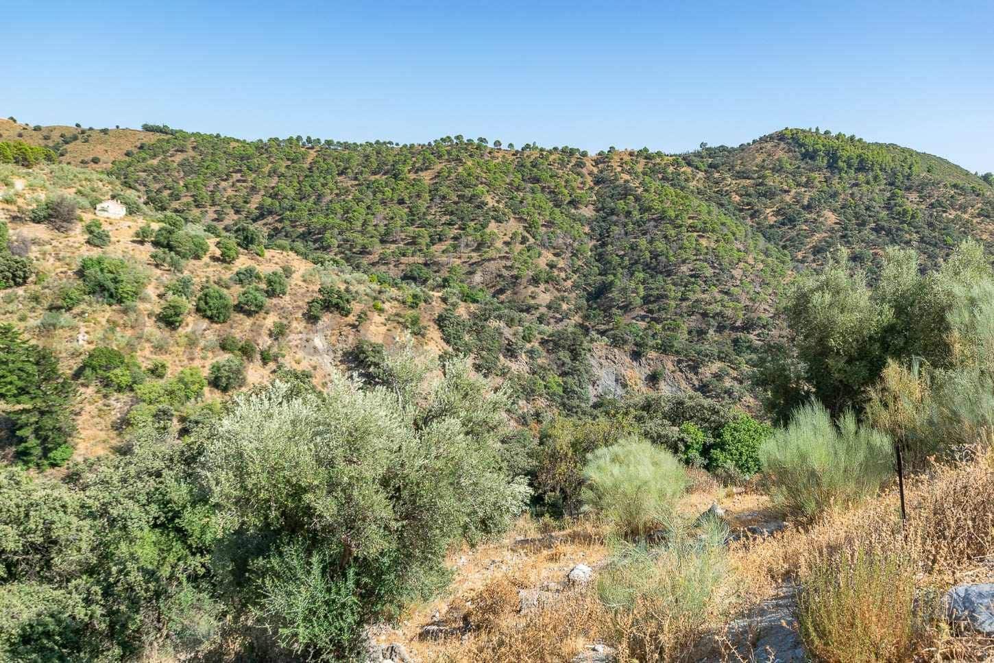 Terreno Non Edificato in vendita in Salares - 15.000 € (Rif: 10075882)