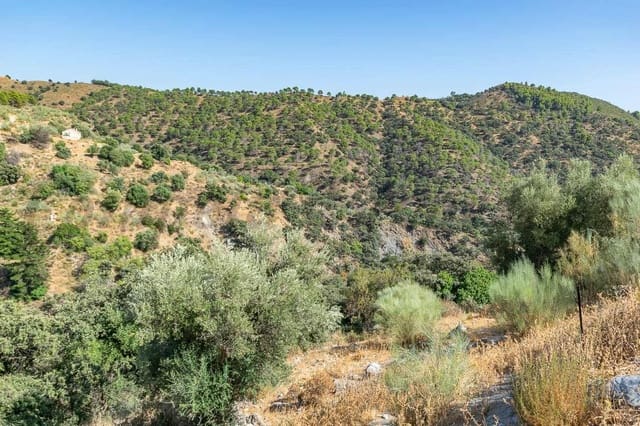 Terre non Aménagée à vendre à Salares - 15 000 € (Ref: 10075882)
