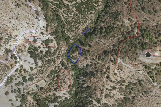 Terre non Aménagée à vendre à Salares - 15 000 € (Ref: 10075882)