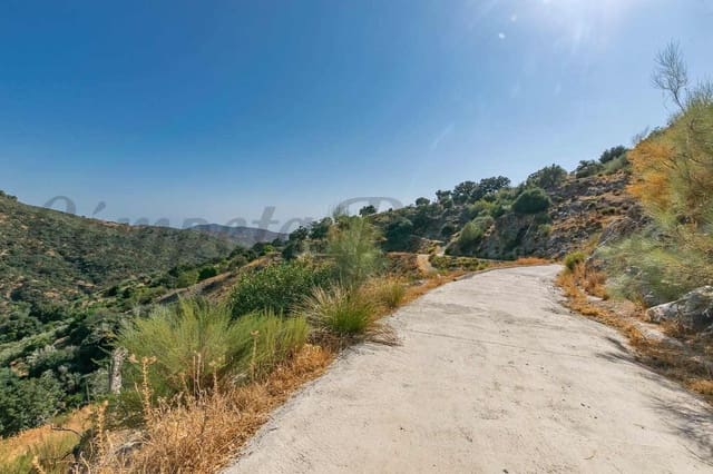 Terre non Aménagée à vendre à Salares - 15 000 € (Ref: 10075882)