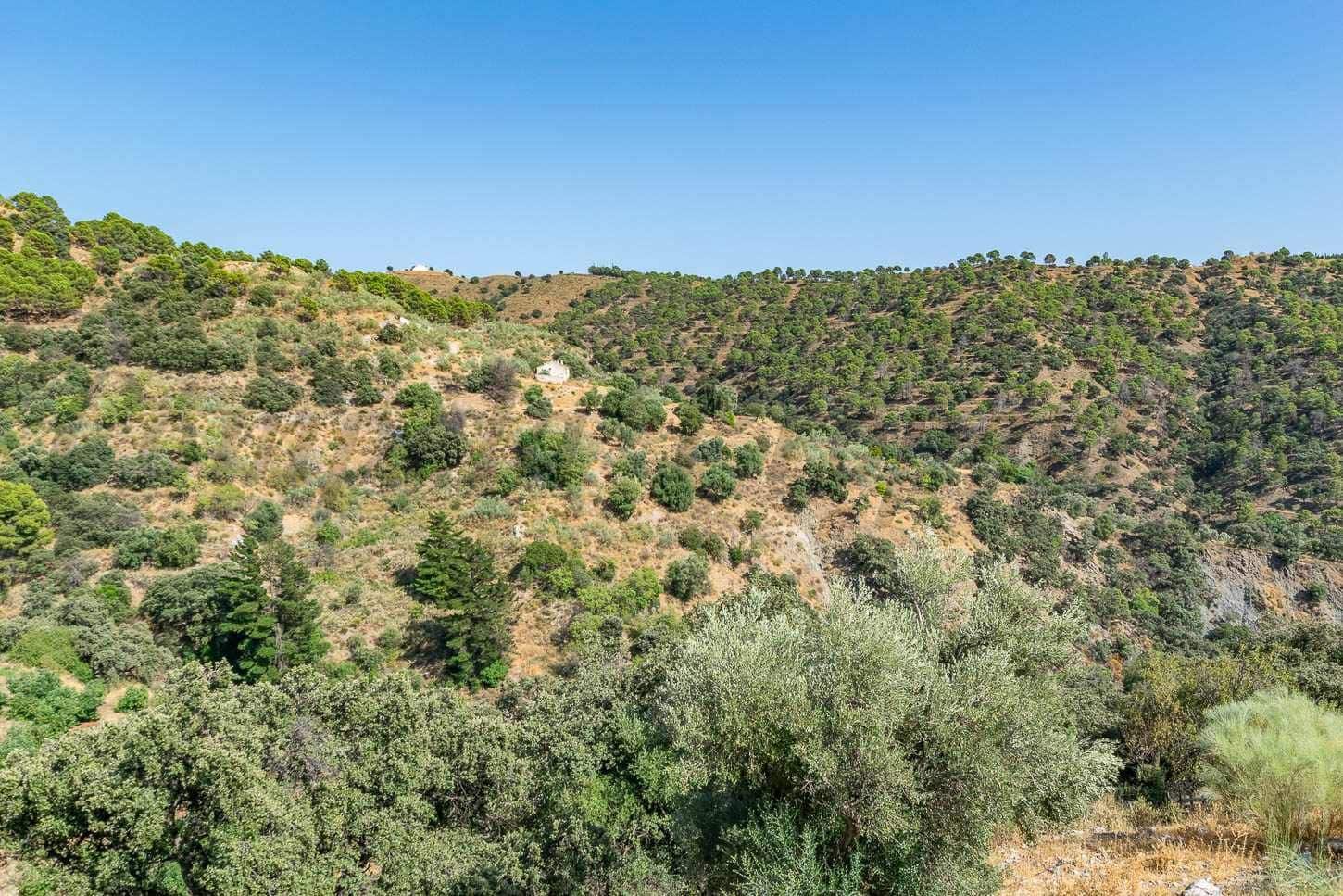 Terreno Non Edificato in vendita in Salares - 15.000 € (Rif: 10075882)