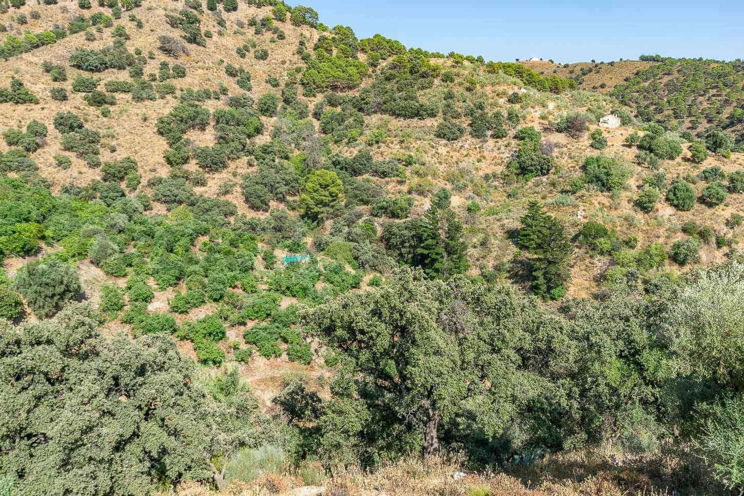 Terreno Non Edificato in vendita in Salares - 15.000 € (Rif: 10075882)
