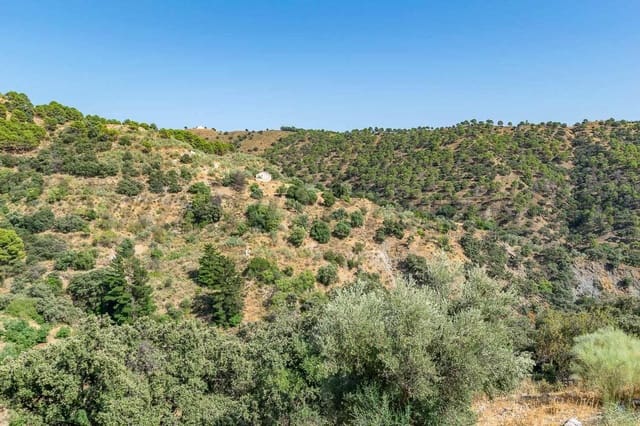 Terre non Aménagée à vendre à Salares - 15 000 € (Ref: 10075882)