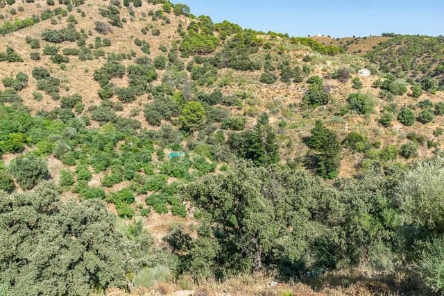 Terre non Aménagée à vendre à Salares - 15 000 € (Ref: 10075882)