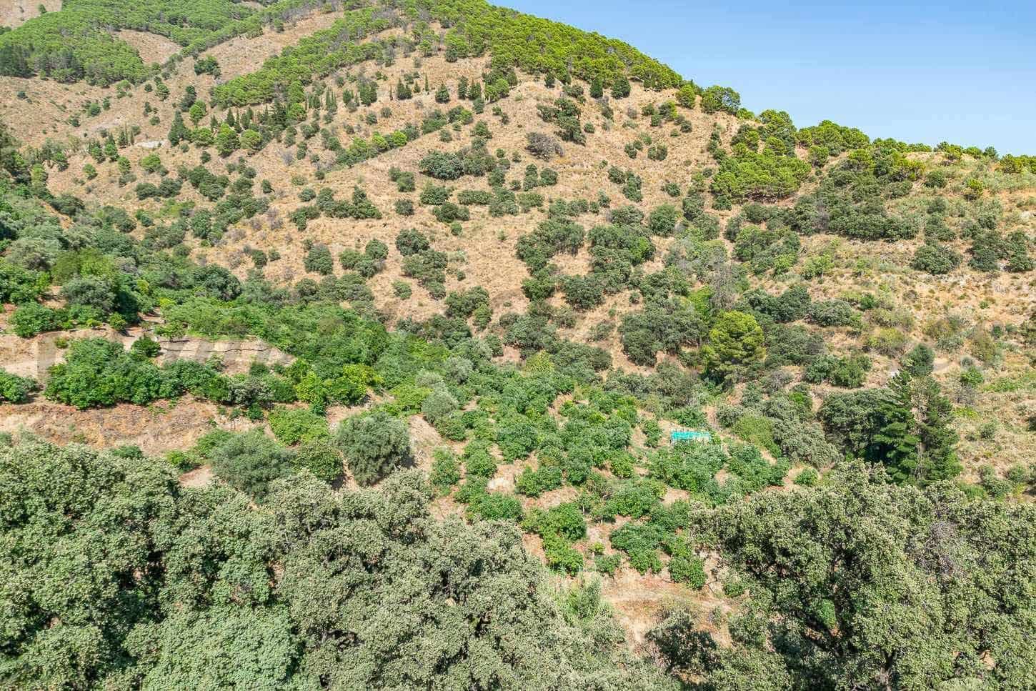 Terreno Non Edificato in vendita in Salares - 15.000 € (Rif: 10075882)