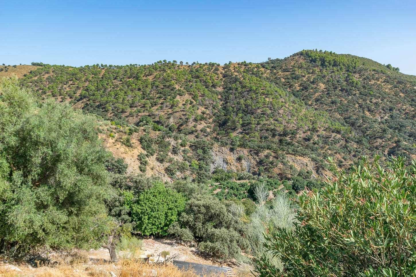 Terreno Non Edificato in vendita in Salares - 15.000 € (Rif: 10075882)
