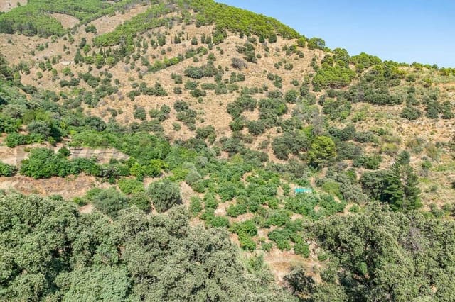 Terre non Aménagée à vendre à Salares - 15 000 € (Ref: 10075882)