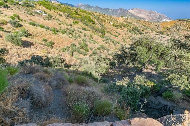 Terre non Aménagée à vendre à Salares - 35 000 € (Ref: 10075885)