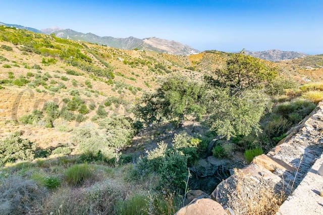 Terre non Aménagée à vendre à Salares - 35 000 € (Ref: 10075885)