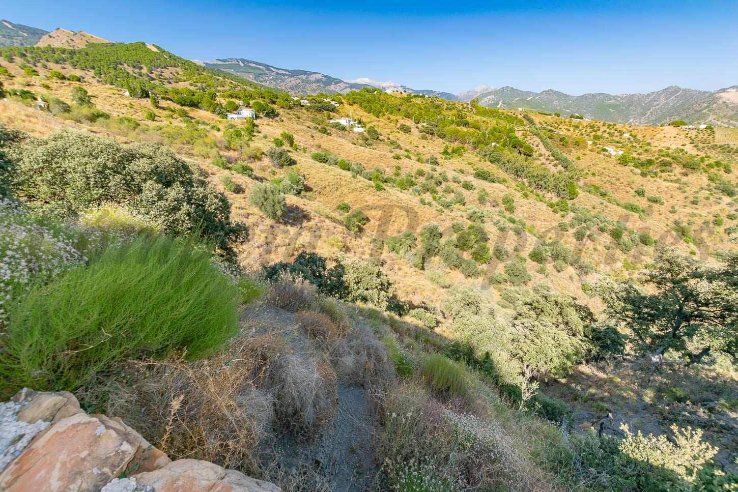 Grond te koop in Salares - € 35.000 (Ref: 10075885)