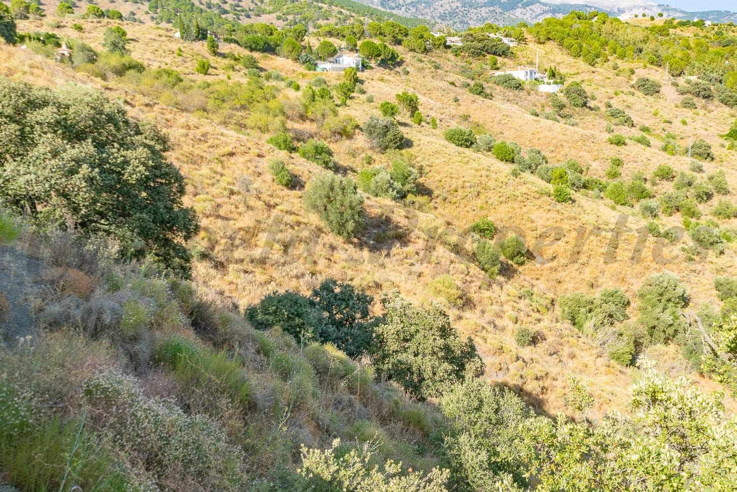 Grond te koop in Salares - € 35.000 (Ref: 10075885)
