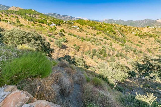 Terre non Aménagée à vendre à Salares - 35 000 € (Ref: 10075885)