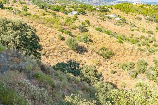 Terre non Aménagée à vendre à Salares - 35 000 € (Ref: 10075885)