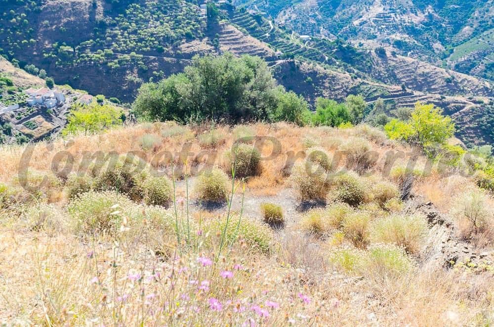 Terre non Aménagée à vendre à Competa - 36 000 € (Ref: 10075892)