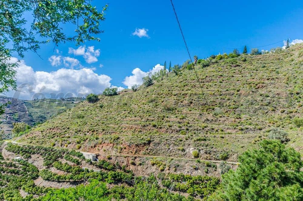 Terre non Aménagée à vendre à Competa - 160 000 € (Ref: 10075893)