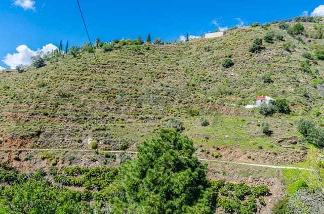 Terre non Aménagée à vendre à Cómpeta - 160 000 € (Ref: 10075893)