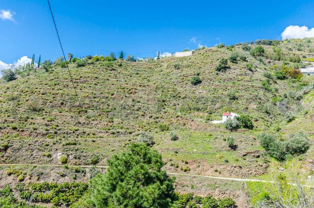 Terre non Aménagée à vendre à Competa - 160 000 € (Ref: 10075893)
