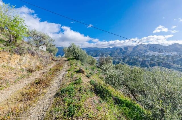 Terre non Aménagée à vendre à Archez - 45 000 € (Ref: 10075897)