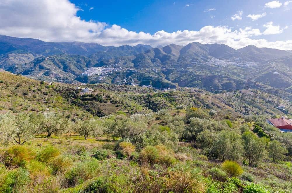 Terre non Aménagée à vendre à Archez - 45 000 € (Ref: 10075897)