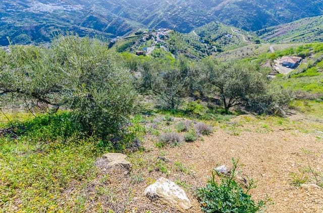 Terre non Aménagée à vendre à Archez - 45 000 € (Ref: 10075897)