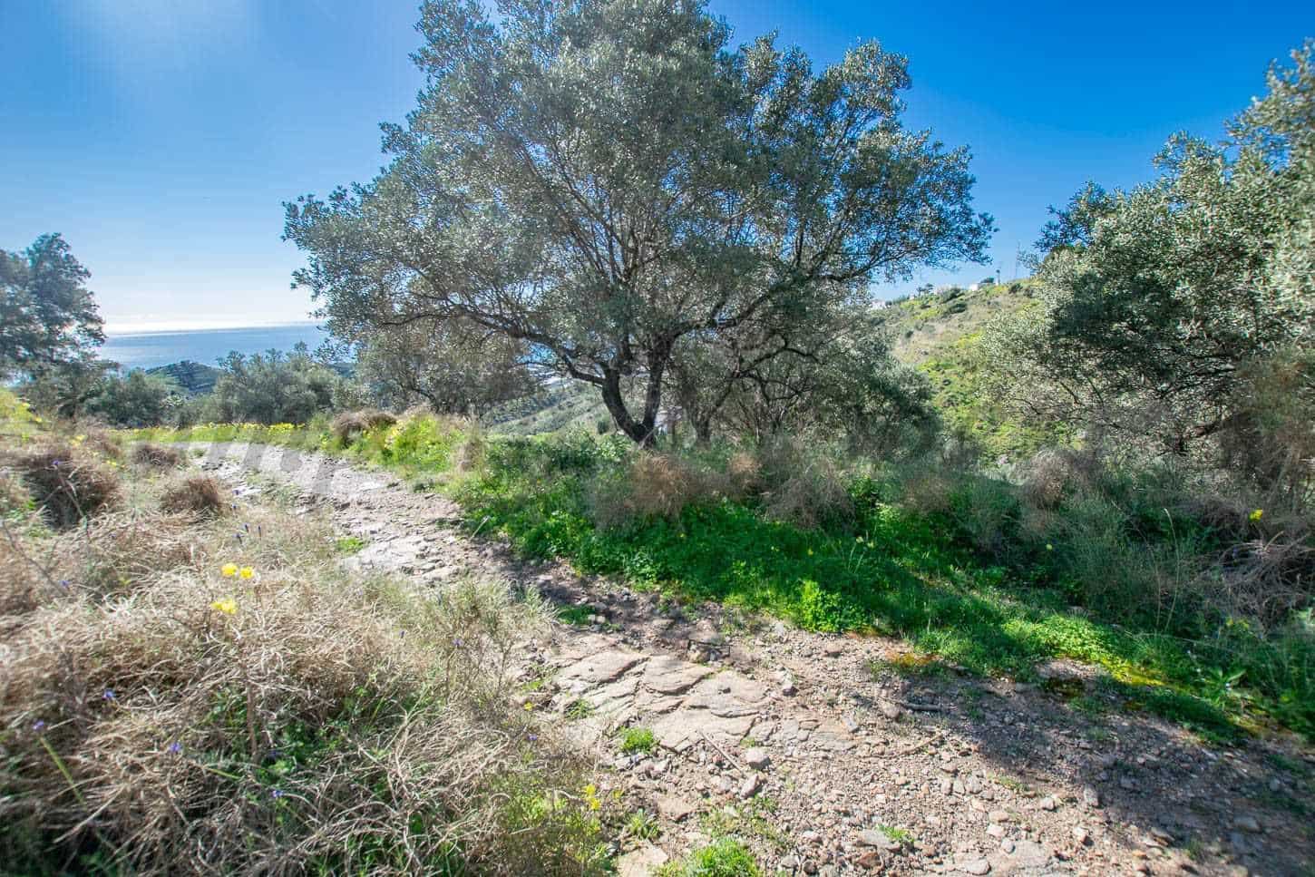 Grond te koop in Sayalonga - € 40.500 (Ref: 10075898)