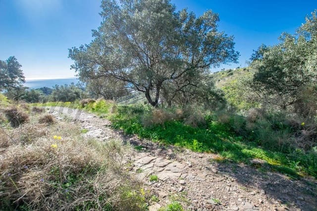 Landgrundstück zu verkaufen in Sayalonga - 40.500 € (Ref: 10075898)