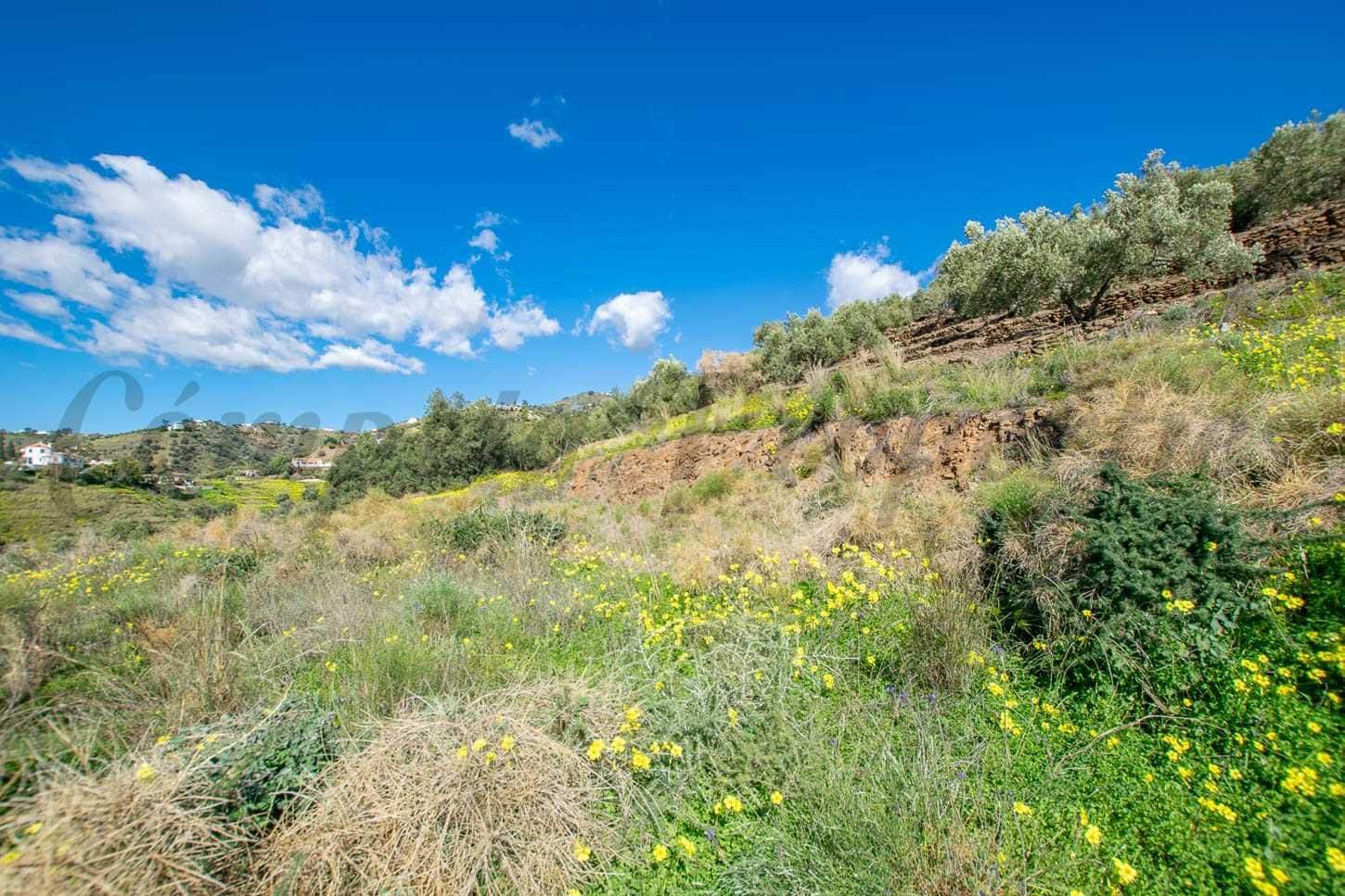 Grond te koop in Sayalonga - € 40.500 (Ref: 10075898)