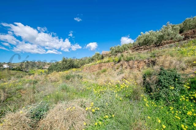 Landgrundstück zu verkaufen in Sayalonga - 40.500 € (Ref: 10075898)
