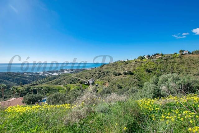 Landgrundstück zu verkaufen in Sayalonga - 40.500 € (Ref: 10075898)