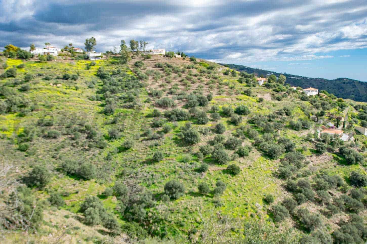 Grond te koop in Sayalonga - € 40.500 (Ref: 10075898)