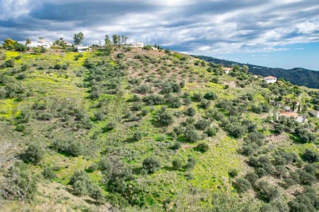 Landgrundstück zu verkaufen in Sayalonga - 40.500 € (Ref: 10075898)