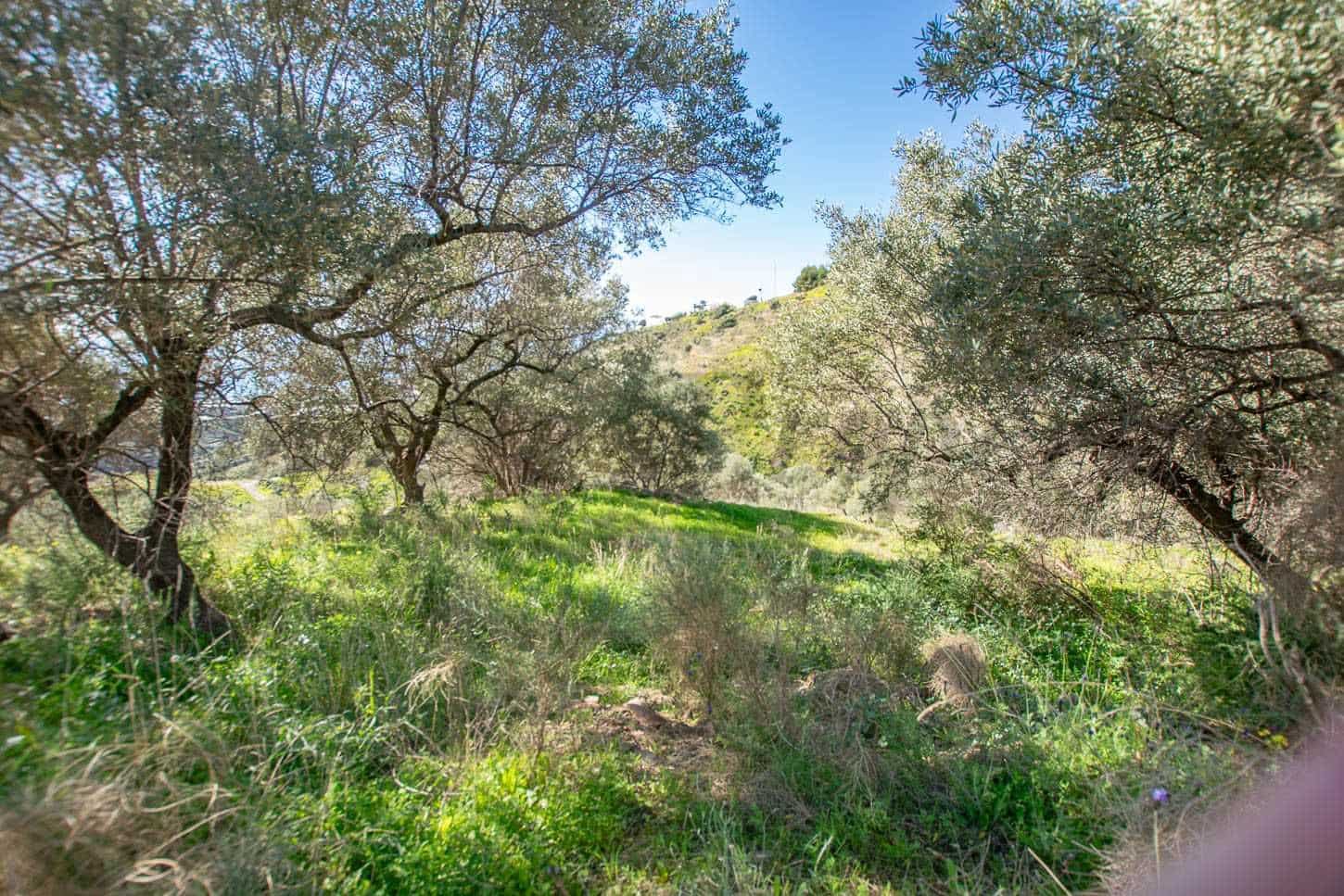 Grond te koop in Sayalonga - € 40.500 (Ref: 10075898)