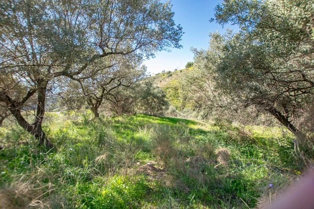 Landgrundstück zu verkaufen in Sayalonga - 40.500 € (Ref: 10075898)