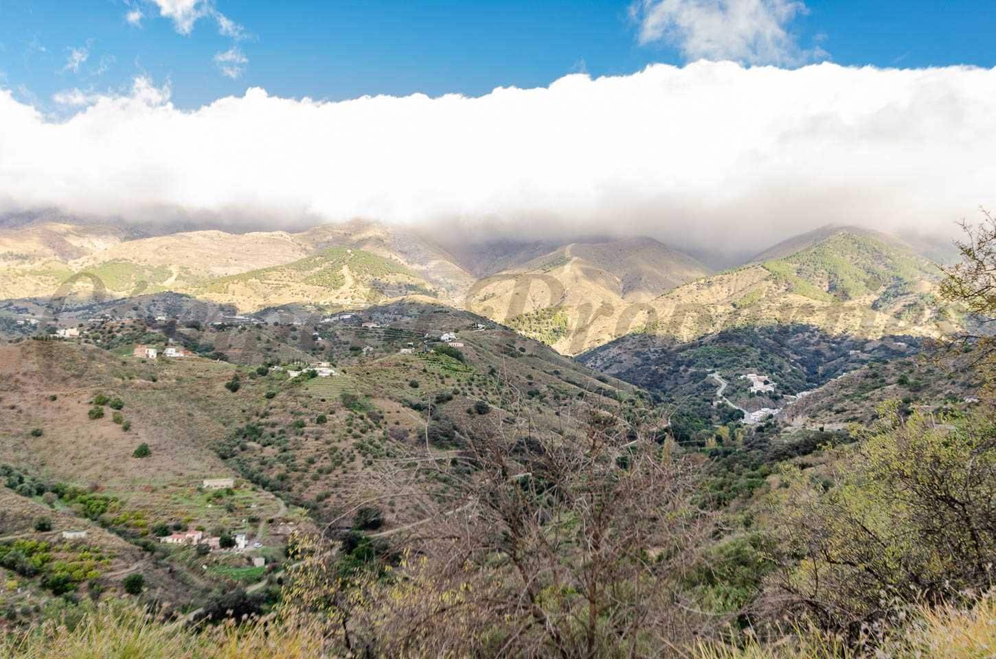 Mark till salu i Salares - 30 000 € (Ref: 10075901)