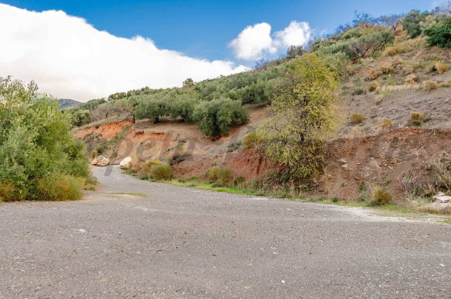 Mark till salu i Salares - 30 000 € (Ref: 10075901)