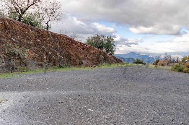 Terre non Aménagée à vendre à Salares - 30 000 € (Ref: 10075901)