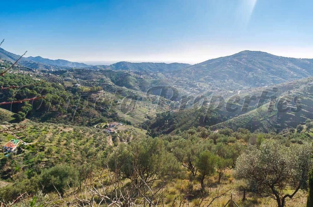 Terre non Aménagée à vendre à Competa - 38 000 € (Ref: 10075902)