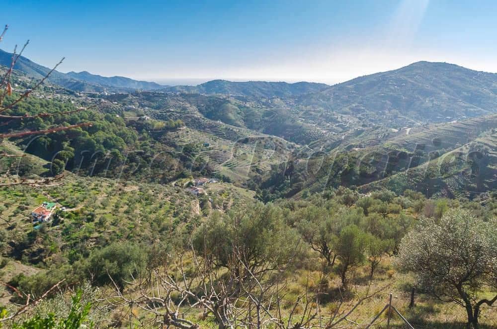 Terre non Aménagée à vendre à Competa - 38 000 € (Ref: 10075902)