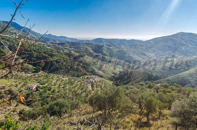 Terre non Aménagée à vendre à Cómpeta - 38 000 € (Ref: 10075902)