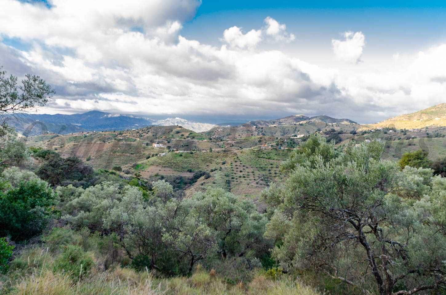 Ubebygd land til salgs i Salares - € 158 000 (Ref: 10075903)