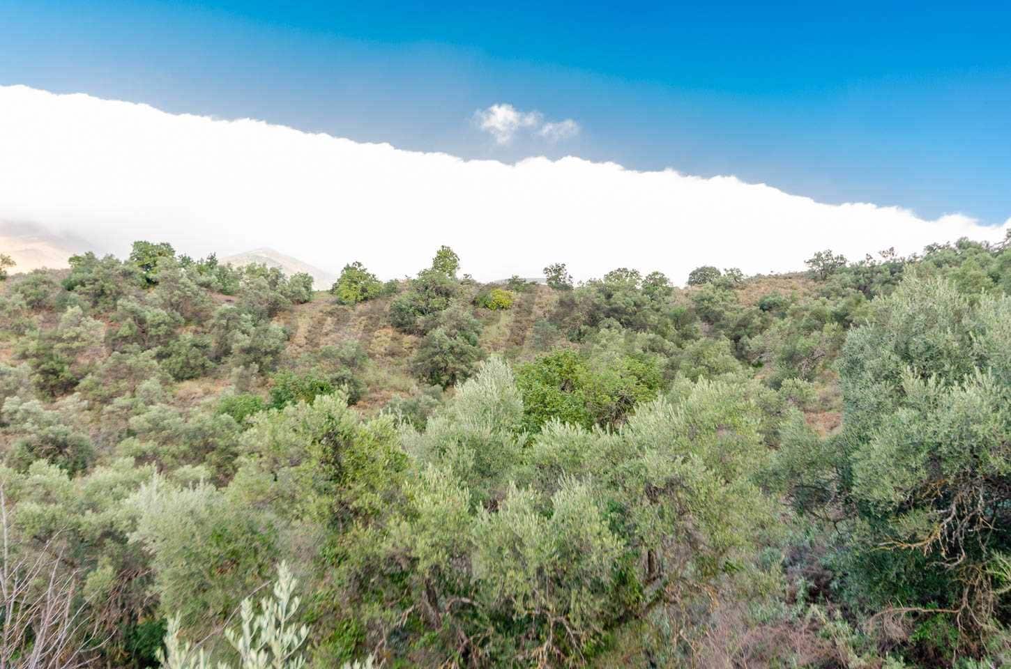 Ubebygd land til salgs i Salares - € 158 000 (Ref: 10075903)