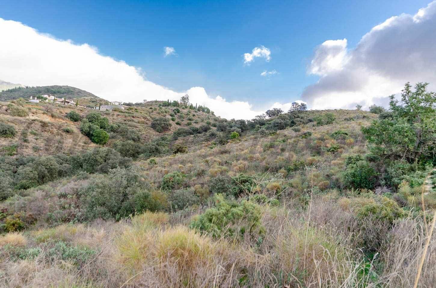 Ubebygd land til salgs i Salares - € 158 000 (Ref: 10075903)