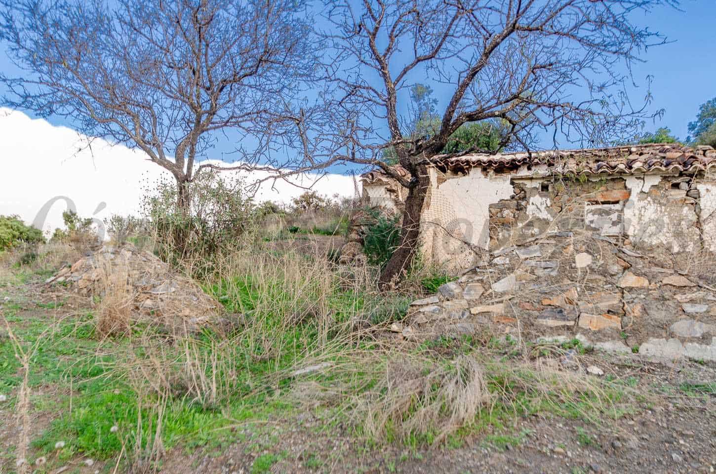 Ubebygd land til salgs i Salares - € 158 000 (Ref: 10075903)