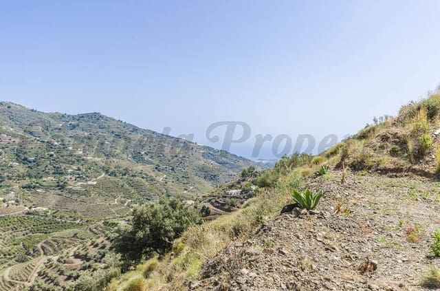 Terre non Aménagée à vendre à Cómpeta - 41 000 € (Ref: 10075904)
