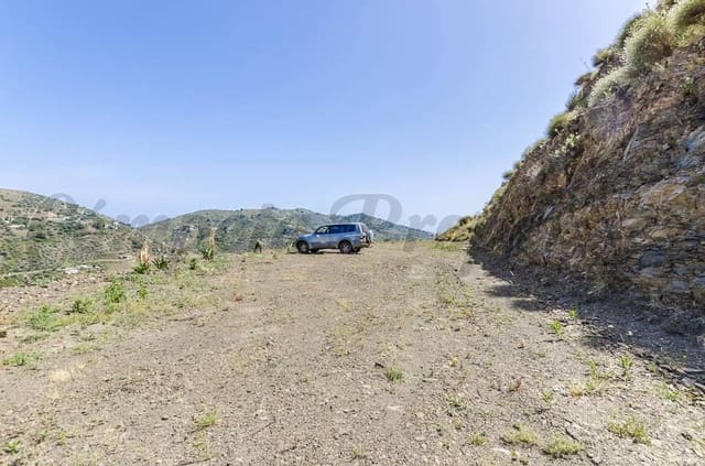 Terre non Aménagée à vendre à Cómpeta - 41 000 € (Ref: 10075904)