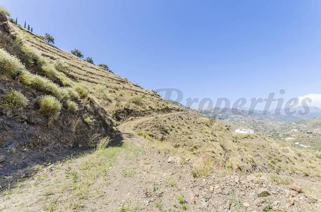 Terre non Aménagée à vendre à Cómpeta - 41 000 € (Ref: 10075904)