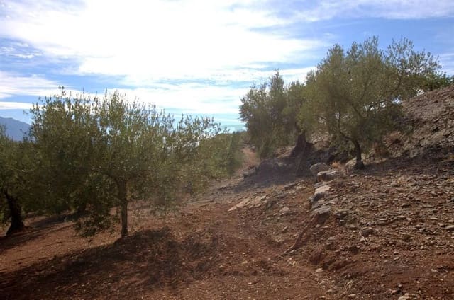 Grond te koop in Cútar - € 188.000 (Ref: 10075907)