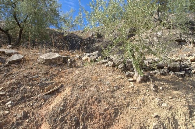 Grond te koop in Cútar - € 188.000 (Ref: 10075907)