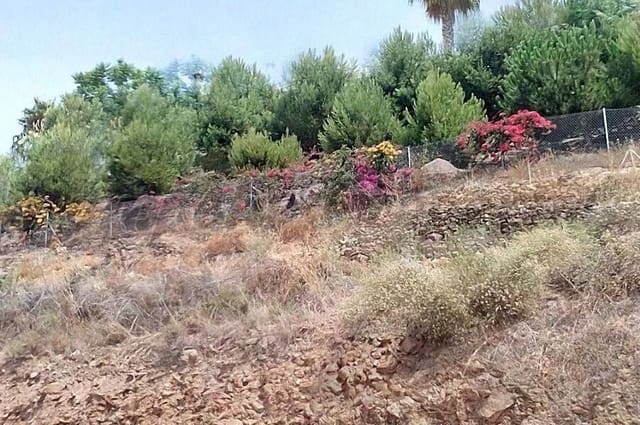 Terre non Aménagée à vendre à Arenas - 40 000 € (Ref: 10075908)