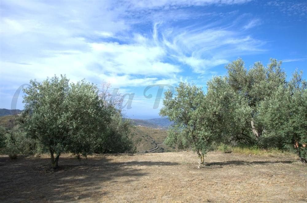 Area Edificabile in vendita in Canillas de Aceituno - 58.000 € (Rif: 10075913)
